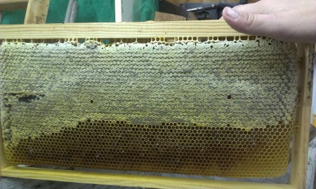 Σφραγισμένο Μέλι